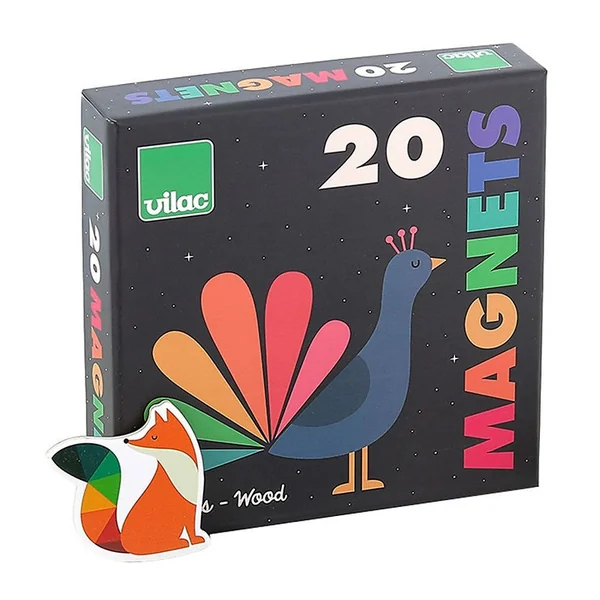 20 Magnets Arc-en-ciel Andy Westface - Vilac