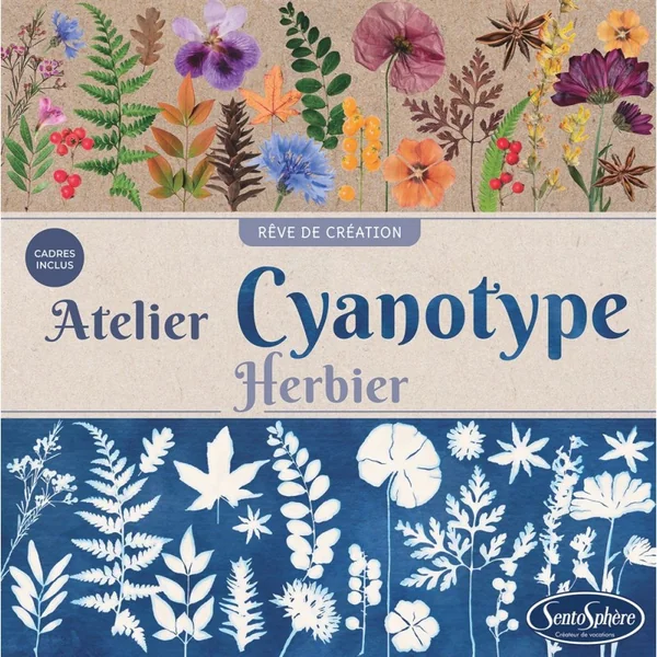 Atelier Cyanotype Herbier - Sentosphère