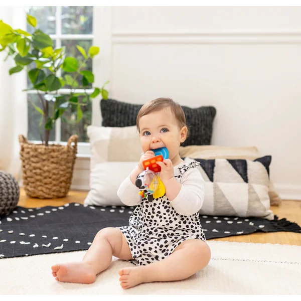 BABY EINSTEIN Jouet de dentition avec hochet zèbre Zen™ Shake-a-Shape sans BPA 0m+