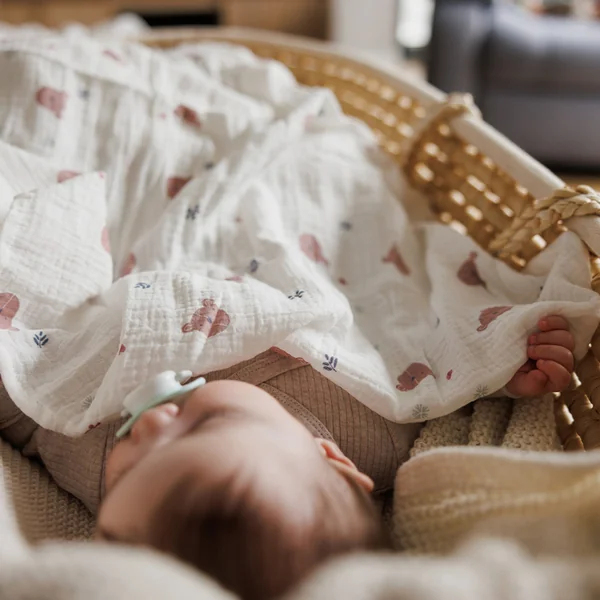 BABYONO Couches en mousseline Super Soft 3 pcs, Gris 70 x 70 cm