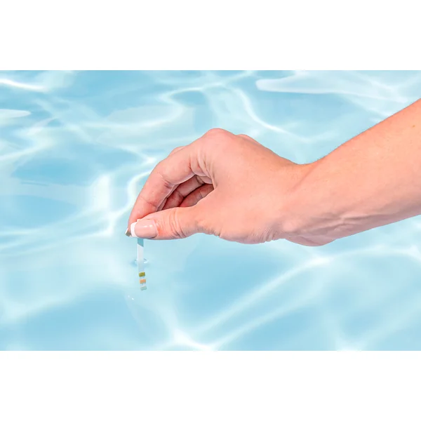 Bestway testeur de bandelettes pour pH 58142