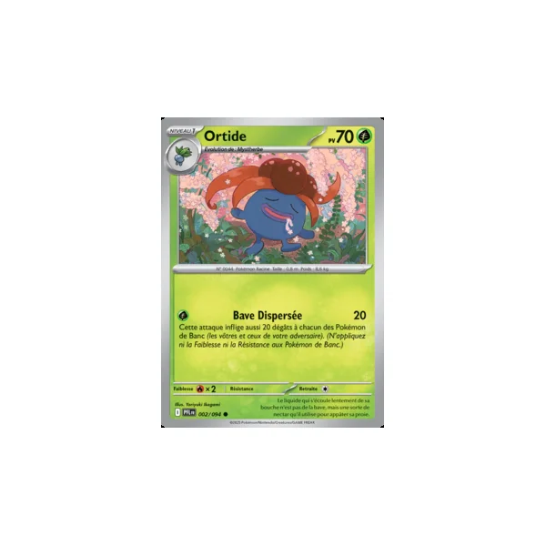 Carte Pokémon Ortide 002/094 – Méga-Évolution Flammes Fantasmagoriques