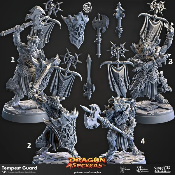 Cast n Play - Dragon Seekers - Set Complet