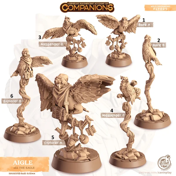Cast n Play - Les Compagnons de Cornelias - Volants - Aigle