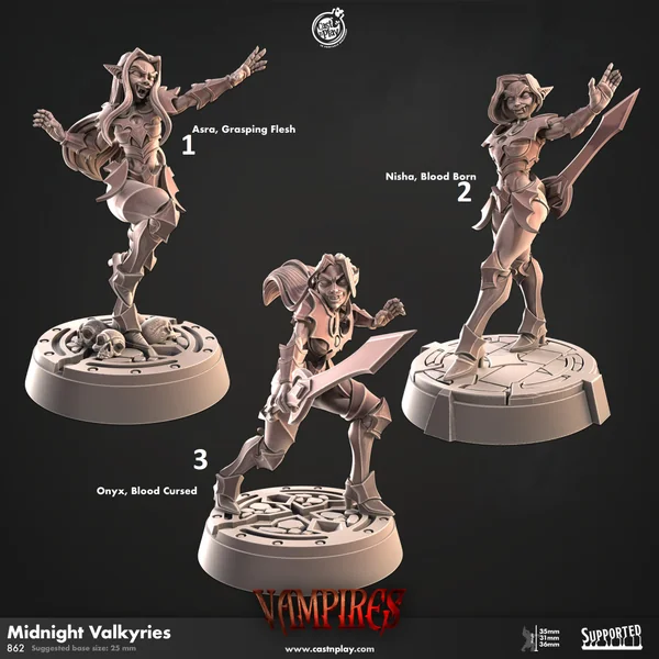 Cast n Play - Vampires - Valkyries de Minuit