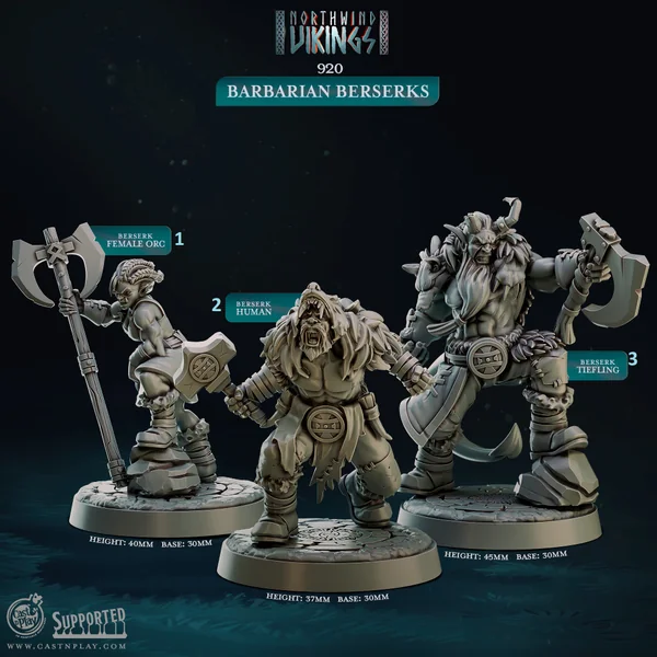 Cast n Play - Vikings Northwind - Berserkers