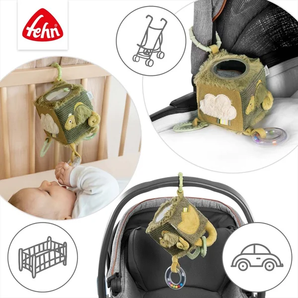 Cube d'activités caméléon, Crazy