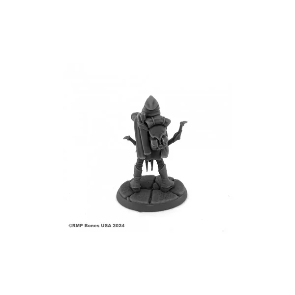 Daehana Drithirien, Elf Fighter, ReaperCon Iconic - Figurine Héros & Héroïnes Reaper Miniatures