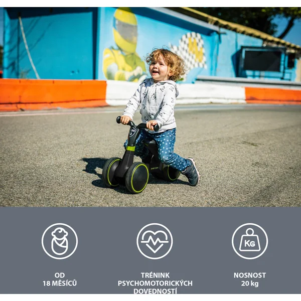 Draisienne Easy-Way, Race Grey