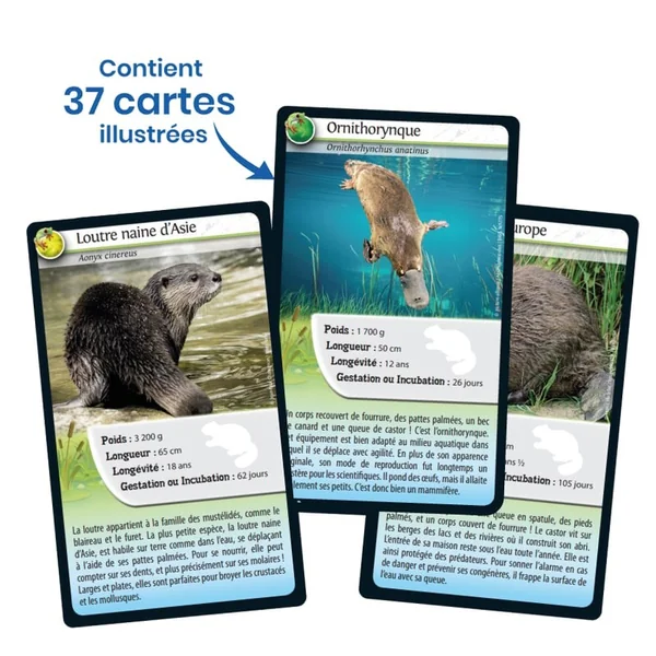 Défis nature Animaux d'eau douce