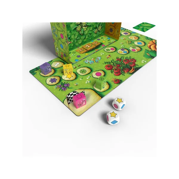 Escargots… Prêts ? Partez !