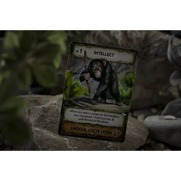 Evolution New World - Version Anglaise