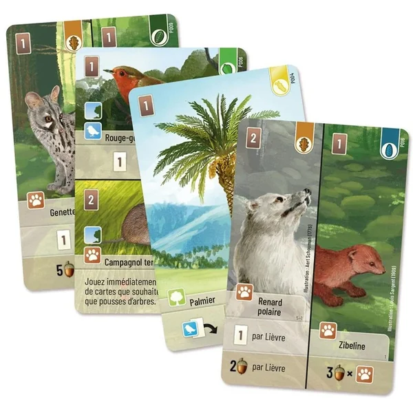 Extension Exploration - Forêt Mixte