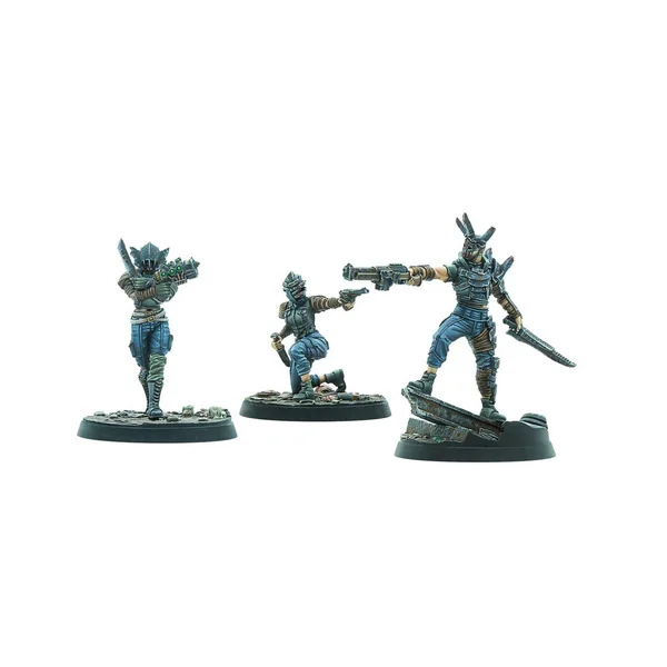 Fallout: Wasteland Warfare - Raiders - Disciples Leaders