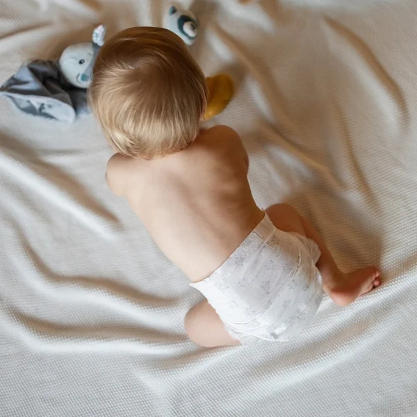 FEEDO Couches jetables MAXI (de 7 à 14 kg), 50 pcs