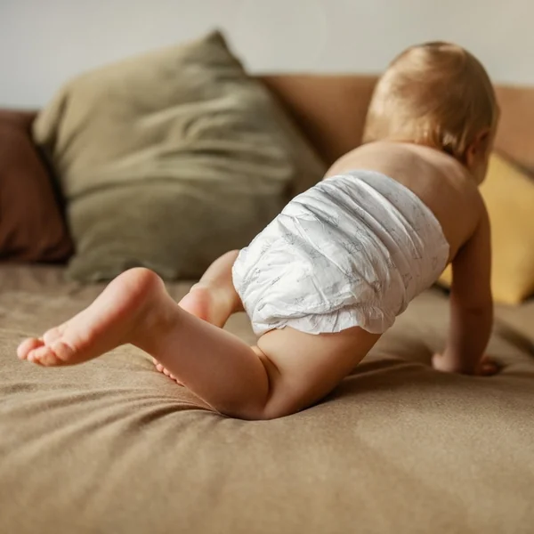 FEEDO Couches jetables MAXI (de 7 à 14 kg), 50 pcs