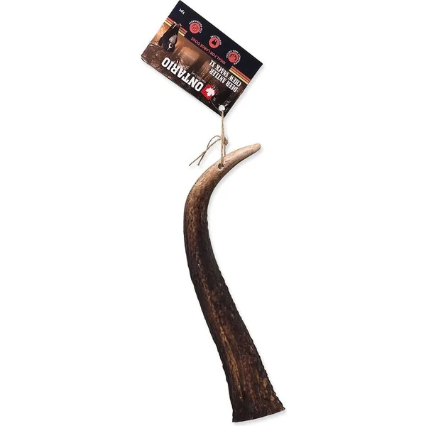 Friandise Paroh cerf XL