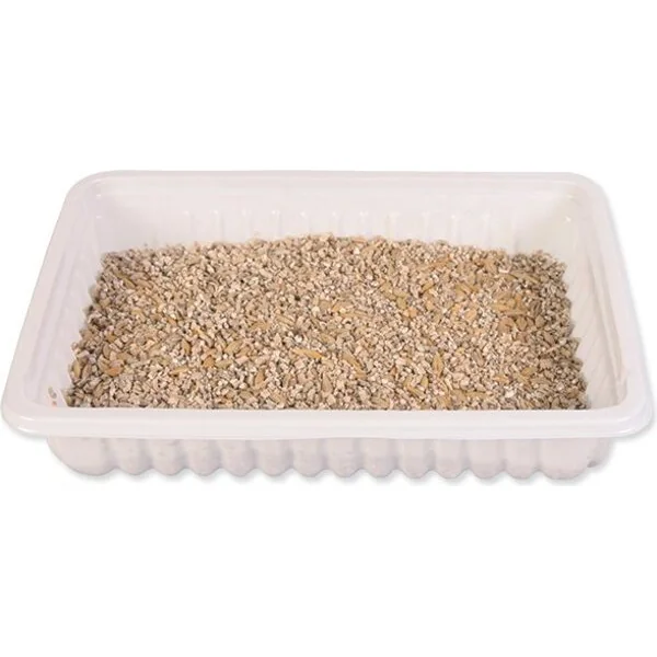 Herbe Trixie pour chatons bol 100 g