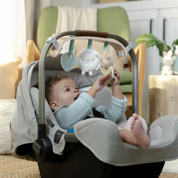 INGENUITY Jouet suspendu pour poussette Wonder & Wood™ 0m+