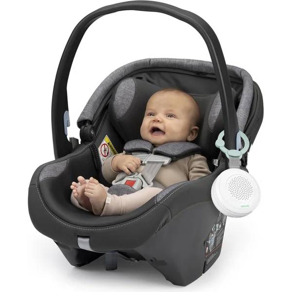 INGENUITY Lecteur musical Pock-a-Bye Baby™ 6m+