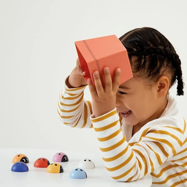 Jeu de Mémoire Coccinelles - Janod