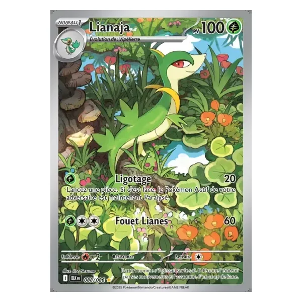 Lianaja – Foudre Noire – 088/086