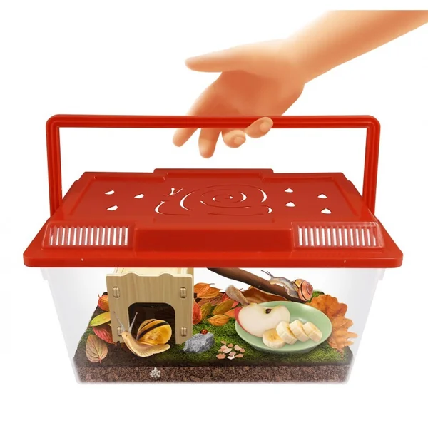 Maison des escargots - Buki