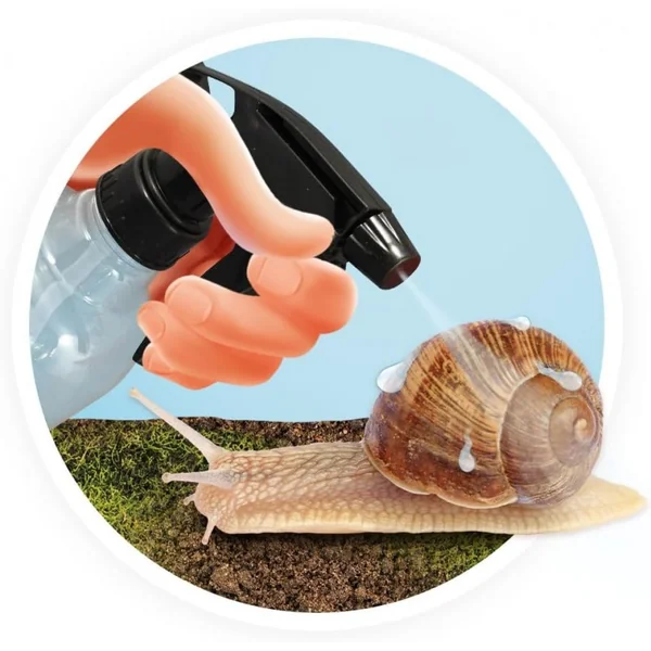 Maison des escargots - Buki