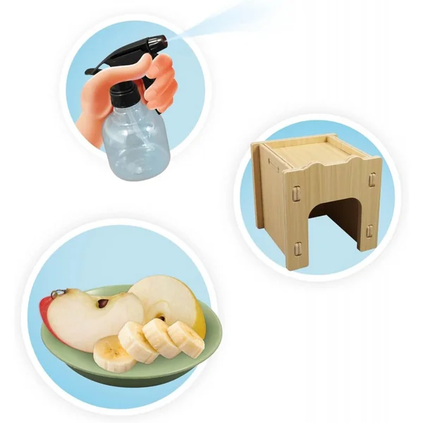 Maison des escargots - Buki