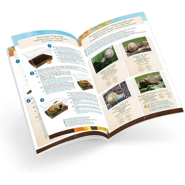 Maison des escargots - Buki