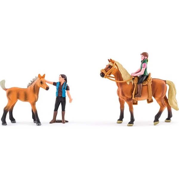 Manège avec des chevaux