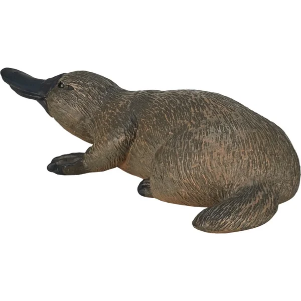 Mon Ornithorynque étrange