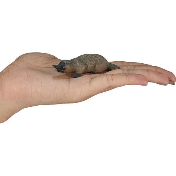 Mon Ornithorynque étrange