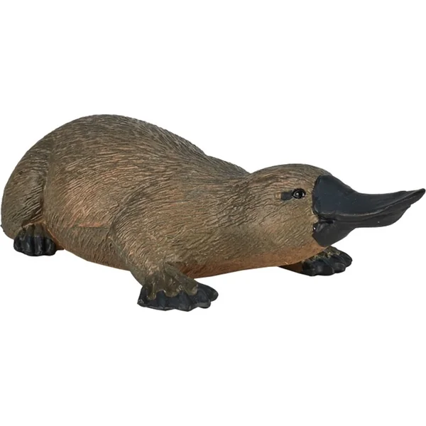 Mon Ornithorynque étrange