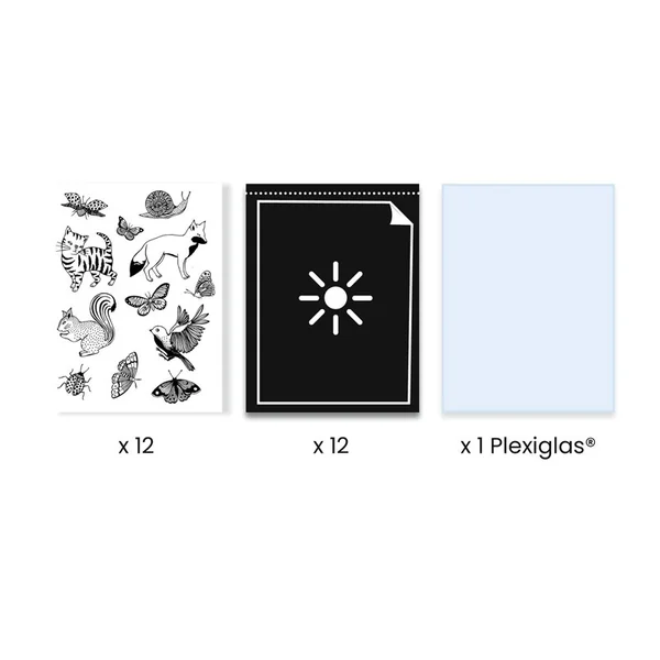 Papier pour cyanotype - Djeco