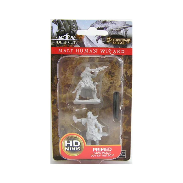 Pathfinder Battles Deep Cuts Unpainted Miniatures: Male Human Wizard