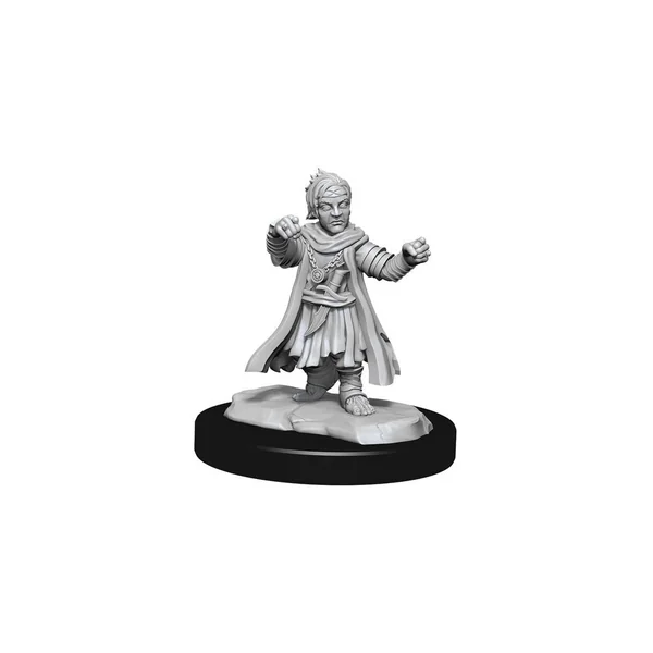 Pathfinder Deepcuts Unpainted Miniatures: Male Halfling Monk