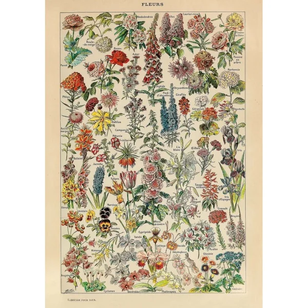 Puzzle 1000 pcs Fleurs, Adolphe Millot - Piatnik