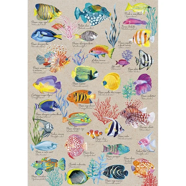 Puzzle 500 pcs Poissons Exotiques - Calypto