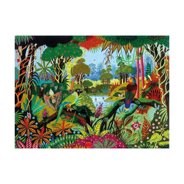 Puzzle Perruche et Amazone - 650 pièces