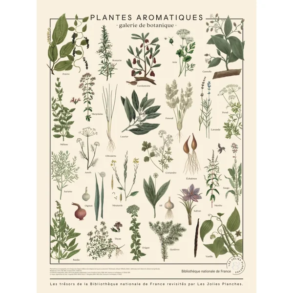 Puzzle - Plantes aromatiques - 1000 pièces