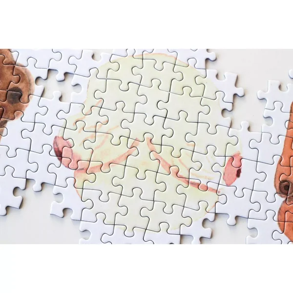 Puzzle Seins - 1000 pièces