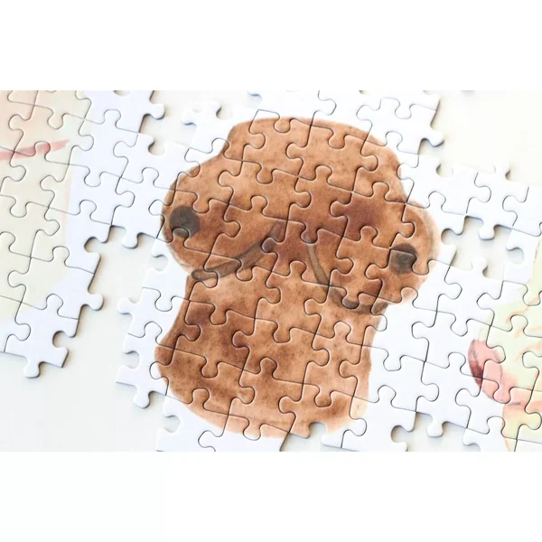 Puzzle Seins - 1000 pièces