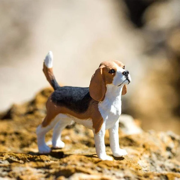 Safari® Chien Beagle