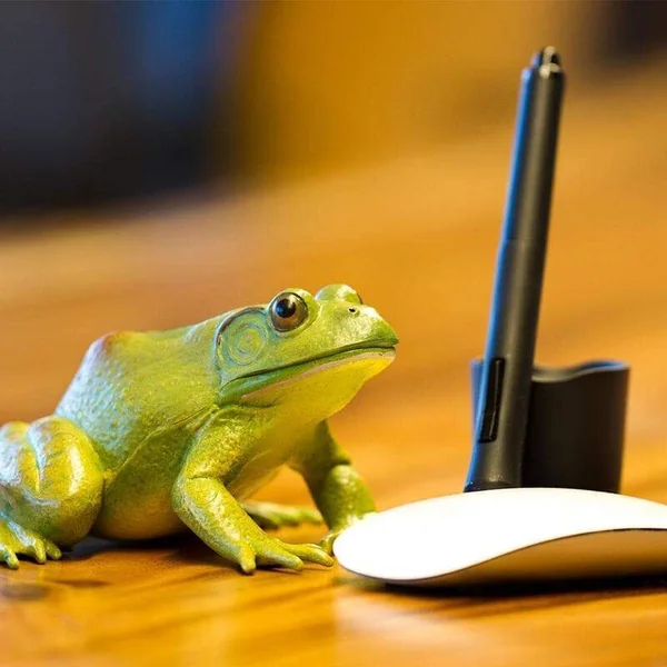 Safari® Grenouille taureau