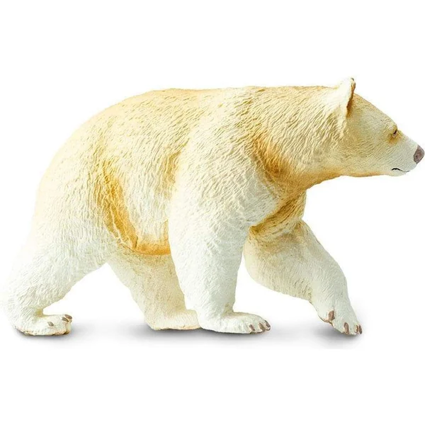 Safari® Ours Kermode
