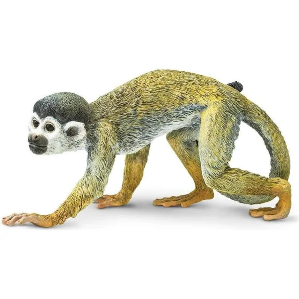 Safari® Singe écureuil