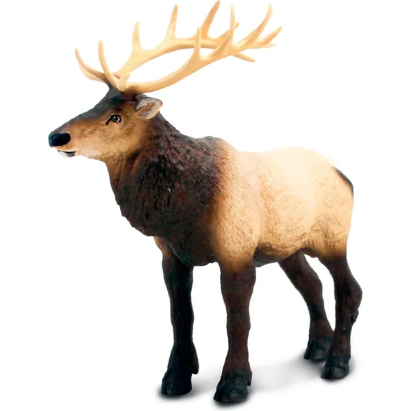 Safari® Wapiti