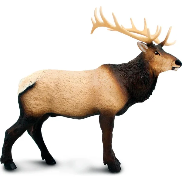 Safari® Wapiti