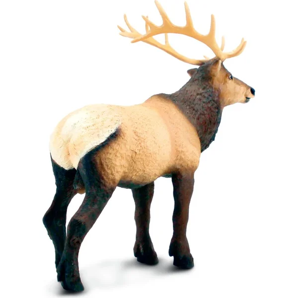 Safari® Wapiti
